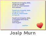 JosipMurn